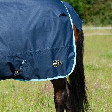 Buy Gallop Trojan 350g Combo Turnout Rug| Online for Equine