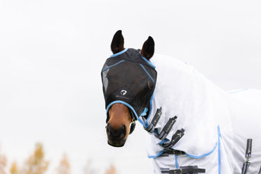 Hy Equestrian Mesh Half Mask without Ears Black/Light Blue| Online For Equine