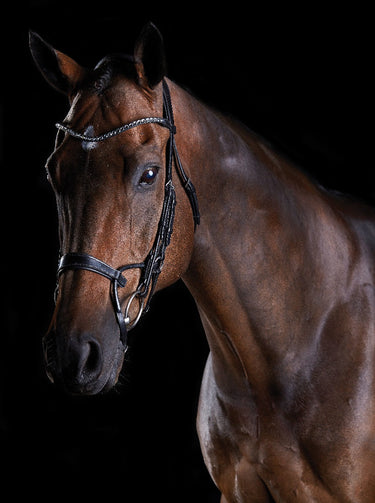 Buy the Collegiate ComFiTec Crystal Bridle | Online for Equine