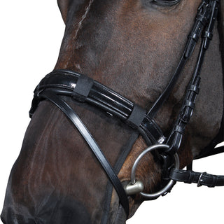 Buy Horse Guard Nose Filter Net | Online for Equine