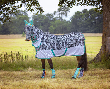 Buy Shires Tempest Original Zeb-Tek Fly Combo Rug| Online for Equine