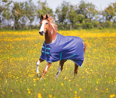 Buy Shires Tempest Original 100g Navy Standard Neck Turnout Rug| Online for Equine