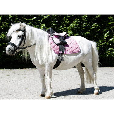 HKM Shetland Pony Starter Kit