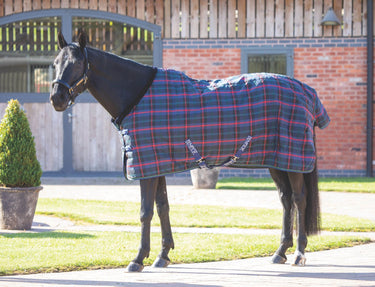 Buy Shires Tempest Plus 100g Stable Rug | Online for Equine