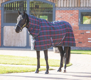 Buy Shires Tempest Plus 100g Combo Stable Rug | Online for Equine