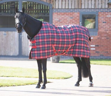 Shires Tempest Plus 200g Stable Rug