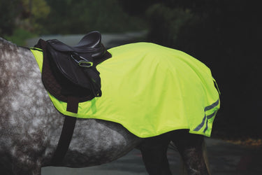 Buy the Shires Equi-Flector Mesh Exercise Sheet | Online for Equine