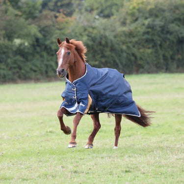 Buy Shires Highlander Plus Lite Turnout Rug | Online for Equine