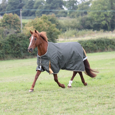 Buy Shires Highlander Plus 50 Turnout Rug | Online for Equine