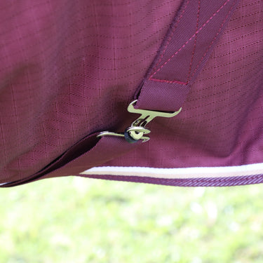 Buy Shires Highlander Plus 100 Turnout Rug| Online for Equine