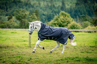 Horseware Ireland Rambo 1680D Wug Turnout Rug 200G Navy / Hunter Green & Silver| Online For Equine