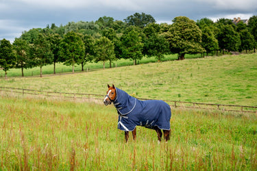 Horseware Ireland Rhino Plus Turnout Rug 250G Vl Navy / Titanium Grey & Classic Blue| Online For Equine