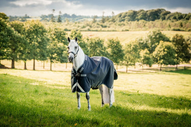 Horseware Ireland Rambo 1680D Turnout Rug 250G Vl Black / Thunderstorm Grey & Silver| Online For Equine