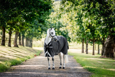 Horseware Ireland Rambo 1680D Turnout Rug 250G Vl Black / Thunderstorm Grey & Silver| Online For Equine