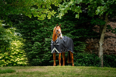 Horseware Ireland Rambo 1680D Turnout Rug 250G Vl Black / Thunderstorm Grey & Silver| Online For Equine
