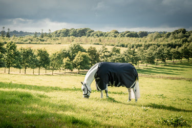 Horseware Ireland Rambo 1680D Turnout Rug 250G Vl Black / Thunderstorm Grey & Silver| Online For Equine