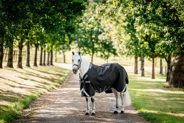 Horseware Ireland Rambo 1680D Turnout Rug 250G Vl Black / Thunderstorm Grey & Silver| Online For Equine