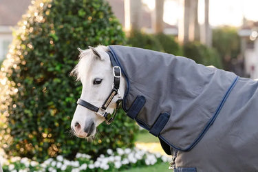 Horseware Ireland Rhino Hexstop Plus Pony Turnout Rug 250G Vl| Online For Equine