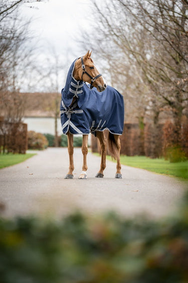 Horseware Ireland Amigo 1200D Integrated Turnout Rug 250G Navy / Titanium Grey & Silver| Online For Equine