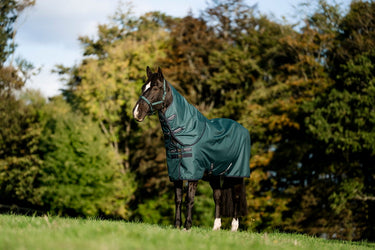 Horseware Ireland Amigo Ripstop 900D Plus Pony Turnout Rug 200G Dynasty Green / Navy & Silver| Online For Equine