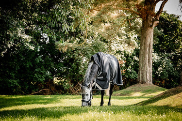Horseware Ireland Amigo 1200D Wug Turnout Rug 250G Black / Titanium Grey & Silver| Online For Equine