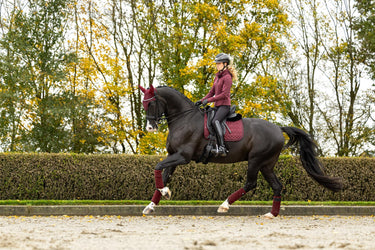 LeMieux Crystal Suede Dressage Pad Burgundy