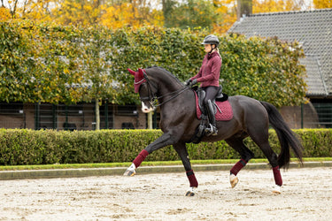 LeMieux Crystal Suede Dressage Pad Burgundy