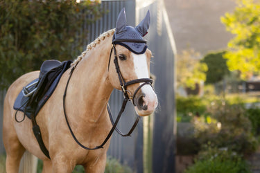 LeMieux Jay Blue Classic Fly Hood| Online For Equine