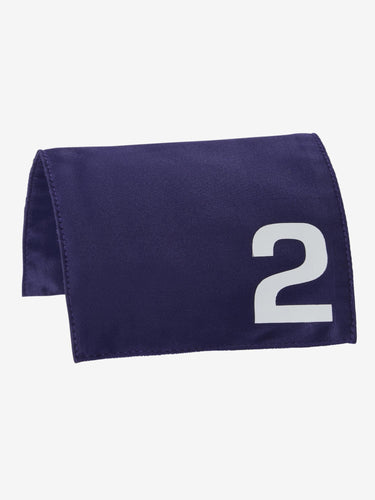 LeMieux Toy Pony Racing Cloth & Mask| Online For Equine