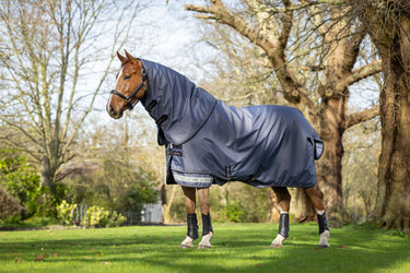 Buy the LeMieux Jay Blue Arika 600D Ripstop 0g Turnout Rug | Online for Equine