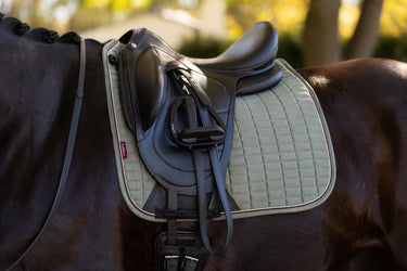 LeMieux Suede Dressage Square Rosemary