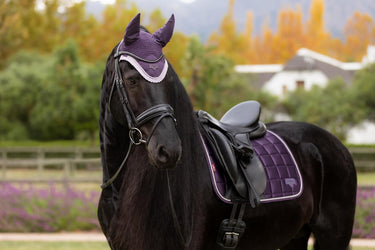 LeMieux Loire Classic Dressage Square Juniper