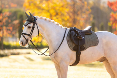 LeMieux Suede GP Square Rosemary