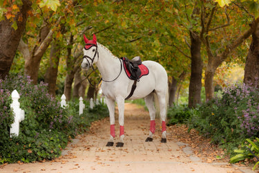 LeMieux Loire Classic GP Square Cranberry
