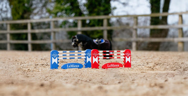 LeMieux Toy Pony Jump Set Benetton/Chilli/White| Online For Equine