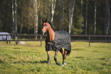 Bucas Irish Turnout 250g Rug| Online For Equine