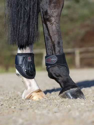 Buy LeMieux Derby Projump Black Fetlock Boots| Online for Equine