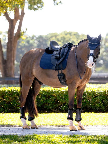 LeMieux Essence Dressage Square Navy| Online For Equine