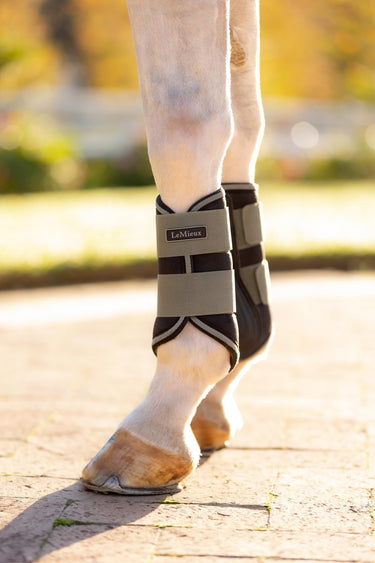 LeMieux Grafter Brushing Boots Rosemary| Online For Equine