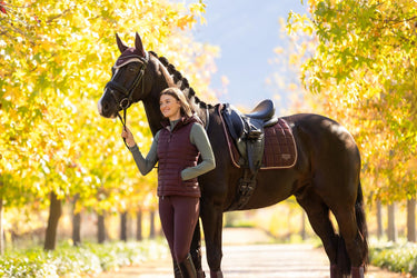 LeMieux Loire Classic Dressage Square Damson| Online For Equine
