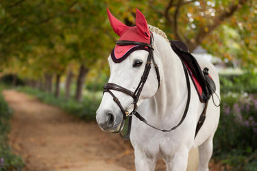 LeMieux Loire Fly Hood Cranberry| Online For Equine