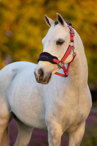 LeMieux Mini Vogue Headcollar & Leadrope Cranberry| Online For Equine