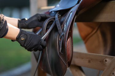LeMieux Pro Mesh Gloves Black| Online For Equine