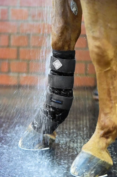 Buy LeMieux ProCool Cold Water Boot| Online for Equine