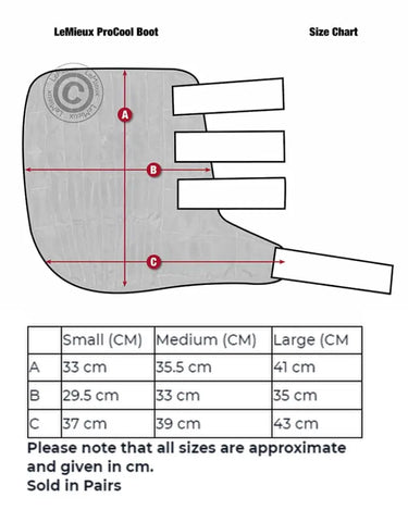 Buy LeMieux ProCool Cold Water Boot| Online for Equine