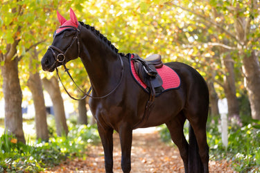 LeMieux Suede Close Contact Square Cranberry| Online For Equine