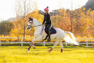LeMieux Suede Close Contact Square Navy/Cranberry| Online For Equine