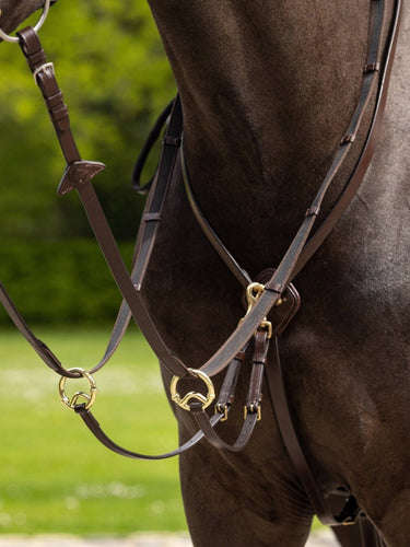 Buy LeMieux Kudos Havana / Brass Running Martingale | Online for Equine