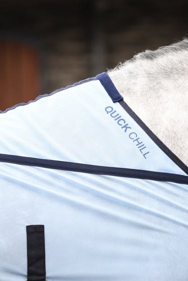Buy Equilibrium Quick Chill Cooling Rug | Online for Equine