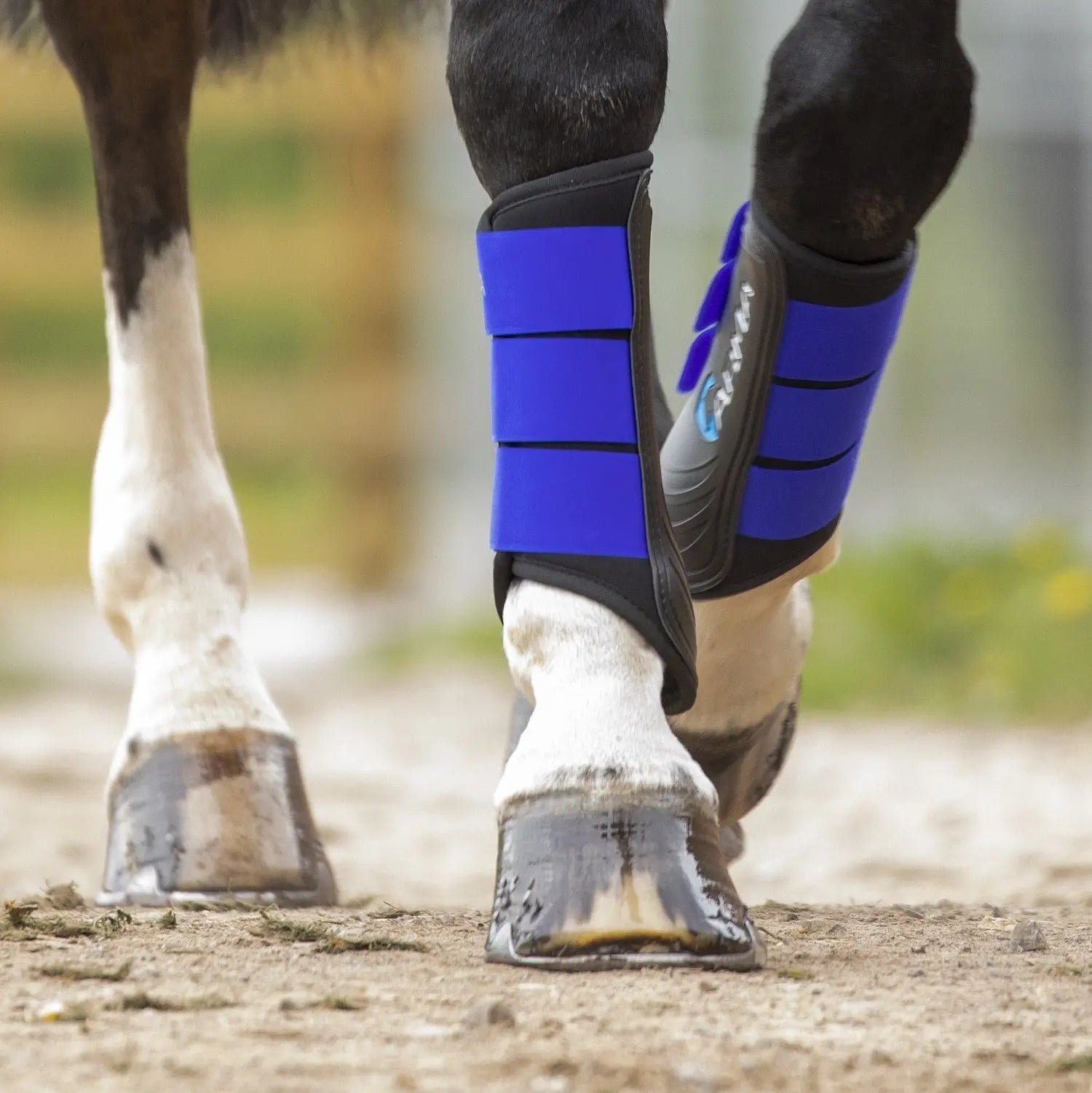 Bottes Néoprène Bottes En Néoprène Shires Arma Pour Cheval - Protection Paturon - Blanc X-Full équipement équitation Bottes Néoprène Bottes En Néoprène Shires Arma Pour Cheval - Protection Paturon - Blanc X-Full équipement équitation
